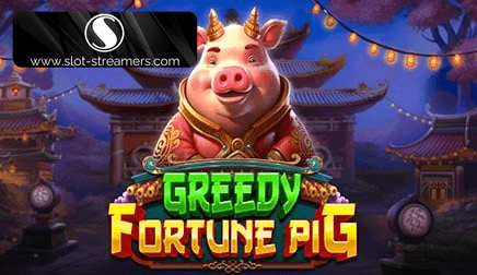 Greedy Fortune Pig