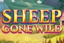 Sheep Gone Wild