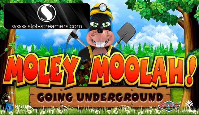 Moley Moolah!