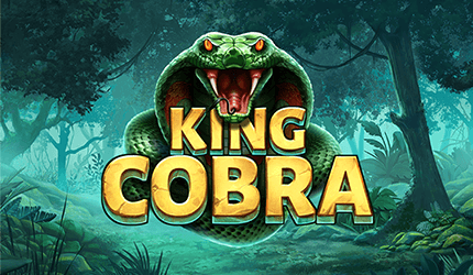King Cobra