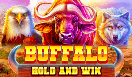 Buffalo Hold and Win