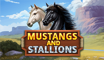 Mustangs and Stallions