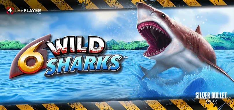 6 Wild Sharks