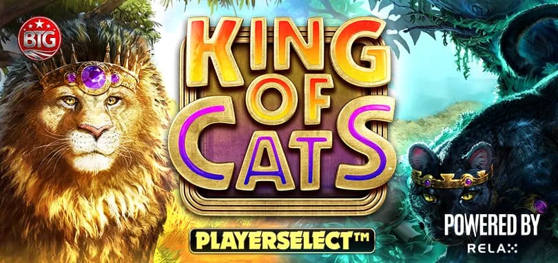 King of Cats