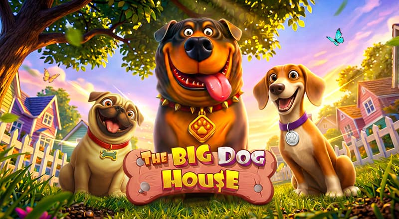 The Big Dog House